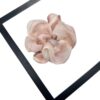 hairpin